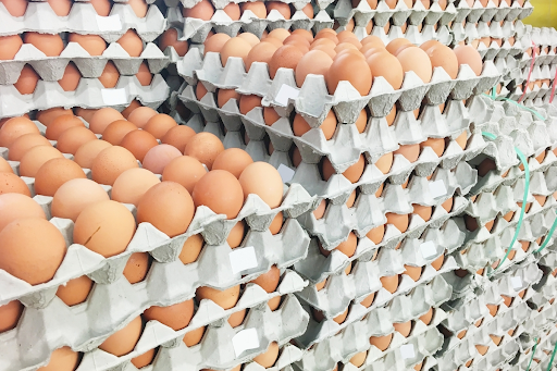 Eggnapped: $40,000 of Eggs Stolen in Pennsylvania Amid Bird Flu Outbreak